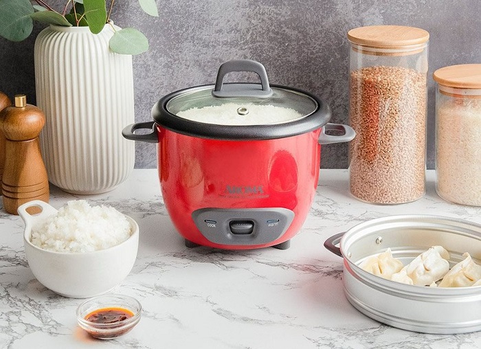 How Does a Rice Cooker Work